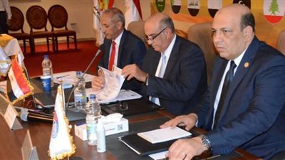 شريف مصطفى: مصر تستضيف البطولة العربية الثامنة للكونغ فو.. ونجهز خطة تطوير شاملة