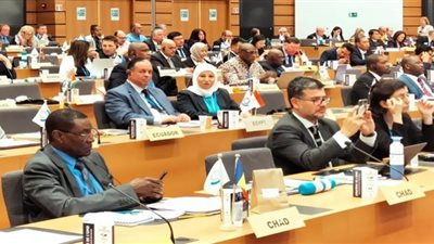 مصر تحتفظ بعضوية لجنة السياسات بمنظمة الجمارك العالمية