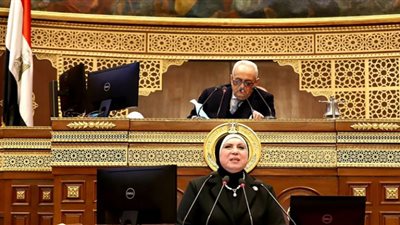جامع: تعميق التصنيع المحلى للمنتج المصرى يأتى على رأس أولويات عمل الحكومة