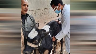 جامعة الزقازيق توجه قافلة بيطرية لقرية شمبارة الميمونة