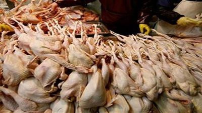 التموين تستعد لشهر رمضان بـ 3 آلاف طن دواجن و2500 طن لحومًا