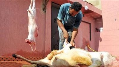 التموين : جميع المجازر تعمل طوال أيام العيد والذبح تحت إشراف طبى