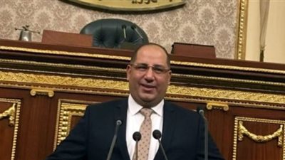 نويصر: ثورة 30 يونيو كانت بمثابة طوق نجاة للبلد من السقوط في طريق اللا عودة