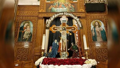 تعرف على أنشطة 