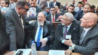 قضية مغاغة| الزيات : نقابة المحامين أكبر من أن تتوسل أو تستجدي لأي جهة