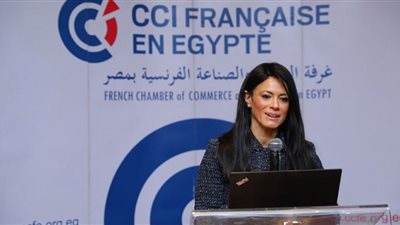المشاط: العلاقات المصرية الفرنسية قوية وتنعكس على مجالات التنمية