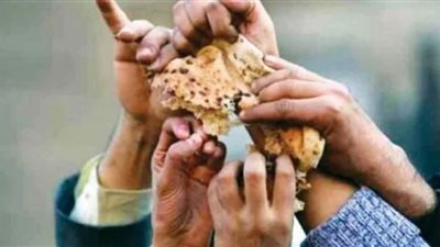 أبوبكر الديب يحذر من اندلاع أزمة غذاء وارتفاع معدلات الجوع بالعالم.. ما السبب؟