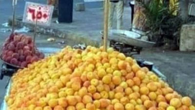 استقرار أسعار الخضروات والفاكهة وتوافر المعروض بأسواق الفيوم