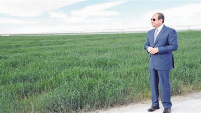ثورة (30 يونيو).. عندما أراد المصريون الحياة