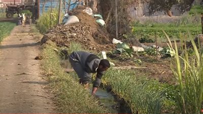 (فيديو) الحكومة تتخذ إجراءات وقائية لتأمين القمح بسبب أزمة أوكرانيا