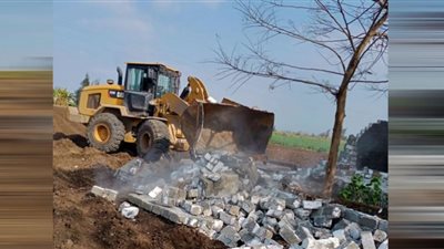 إزالة 66 حالة تعدي علي الأراضي الزراعية بالبحيرة