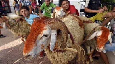 موعد إجازة عيد الأضحى 2022 للقطاعين العام والخاص