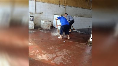 تطهير وتعقيم 16 مجزر ونقاط ذبح بمحافظة كفر الشيخ لاستقبال عيد الأضحى