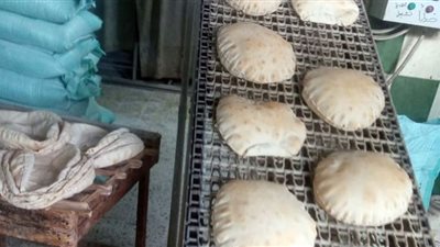 محافظ الدقهلية يحيل 36 مخالفة تموينية إلى النيابة العامة