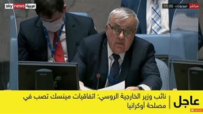 فيرشينين بمجلس الأمن: الجيش الأوكراني يستخدم وسائل محظورة شرقي أوكرانيا