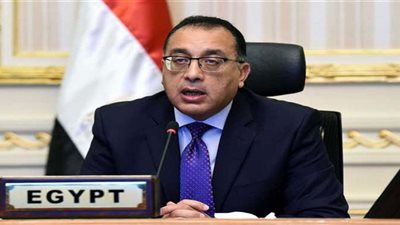الجزائر ترحب وتشجع إنشاء شراكة اقتصادية فعالة مع مصر