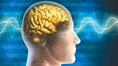 عوامل تؤثر في قدرة الإنسان على التعلم