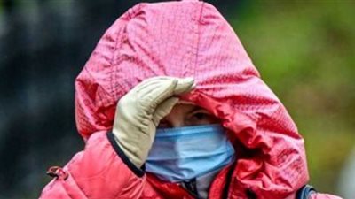اكتشاف فيروسات شبيهة بكورونا لدى الخفافيش في هذا البلد