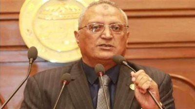 عبده أبو عايشة: 30 يونيو ثورة حيّة ستبقى في وجدان المصريين للأبد