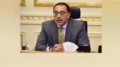 رئيس الوزراء يصل القاهرة عائدًا من الجزائر