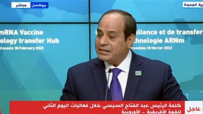 السيسي: نسعى لشراكة شاملة مع المجتمع الدولي في مجال الرعاية الصحية.. 