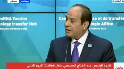 السيسي: مصر استثمرت في تكنولوجيا تصنيع اللقاحات ودعم الدول الإفريقية لتوفيرها لمواطنيها