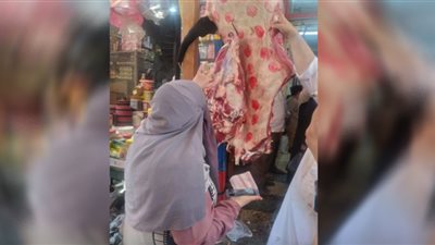 بيطري الشرقية يحرر 12 محضرًا و يضبط 667 كيلو لحوم و أسماك مخالفة