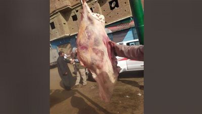 بيطري الشرقية يحرر 15 محضر ويضبط 150 كجم لحوم خلال حملات تفتيشية