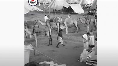تفاصيل مهنة الطوافة في الحج وتاريخ بدايتها (شاهد)