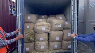 ضبط 217 قضية مخالفات جمركية خلال 24 ساعة