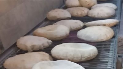 محافظ الدقهلية يحيل 107مخالفة تموينية إلى النيابة العامة