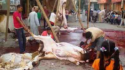 ننشر المخاطر الناجمة عن ذبح الأضاحي بالشوارع وعقوبتها