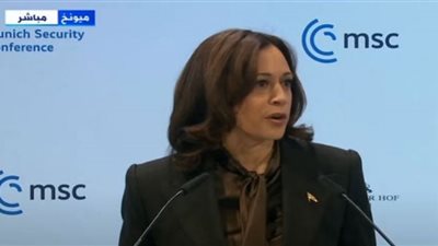 نائبة الرئيس الأمريكي: سنفرض عقوبات اقتصادية على روسيا وقواتنا لا يستهان بها (فيديو)