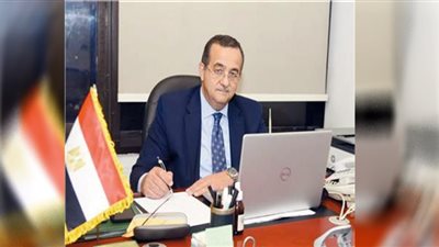 السفير عمرو عباس: المصريون بالخارج يساهمون في جهود التنمية المنتشرة بربوع مصر