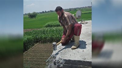 إزالة 6 حالة تعد بالبناء المخالف علي الأراضي الزراعية في ههيا بالشرقية