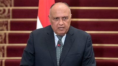 غدًا.. مُباحثات مصرية نمساوية بالقاهرة على مُستوى وزيري الخارجية