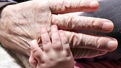 أبحاث جديدة تُشير إلى سبب مُحتمل لمرض الشلل الرعاش