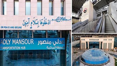 عدلي منصور.. محطة مركزية عالمية على أرض مصرية