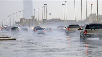 الأرصاد تكشف تفاصيل حالة الطقس حتى نهاية الأسبوع (فيديو)