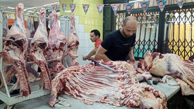القابضة الغذائية تطرح لحوم الأضاحي الضاني بسعر 130 جنيهًا