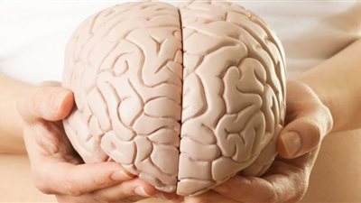 دراسة تكشف 3 عادات تحارب شيخوخة الدماغ