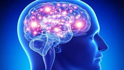 اكتشاف مركب في الدماغ يساعد على 