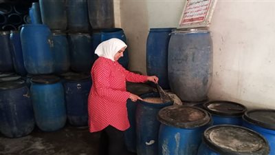 محافظ الدقهلية يحيل 80مخالفة تموينية إلى النيابة العامة