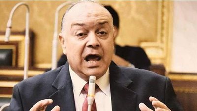 نقل البرلمان: مشروع مترو الإسكندرية يستهدف توفير وسيلة مواصلات صديقة للبيئة