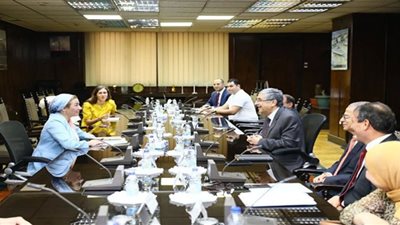 وزيرا البيئة والكهرباء يبحثان استعدادات مصر لاستضافة مؤتمر المناخ cop27