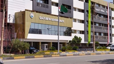 صحة القليوبية: خروح حالات تسسم السمك بالقناطر الخيرية من المستشفى