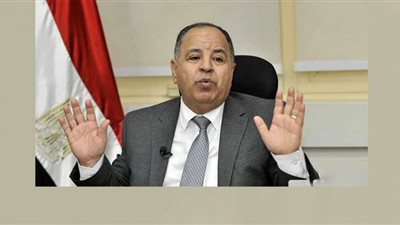 وزير المالية: مصر تستورد قمح بـ 6 مليار دولار سنويًا (فيديو)