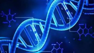 دراسة: أهوال الإبادة الجماعية عدلت تركيب الحمض النووي لدى النساء