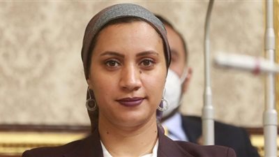 وزارة الرياضة تستجيب لطلب لنائبة التنسيقية بتطوير مركز شباب بالوادي الجديد