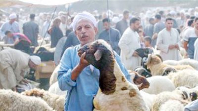 ركود في أسواق اللحوم بسبب ارتفاع أسعارها